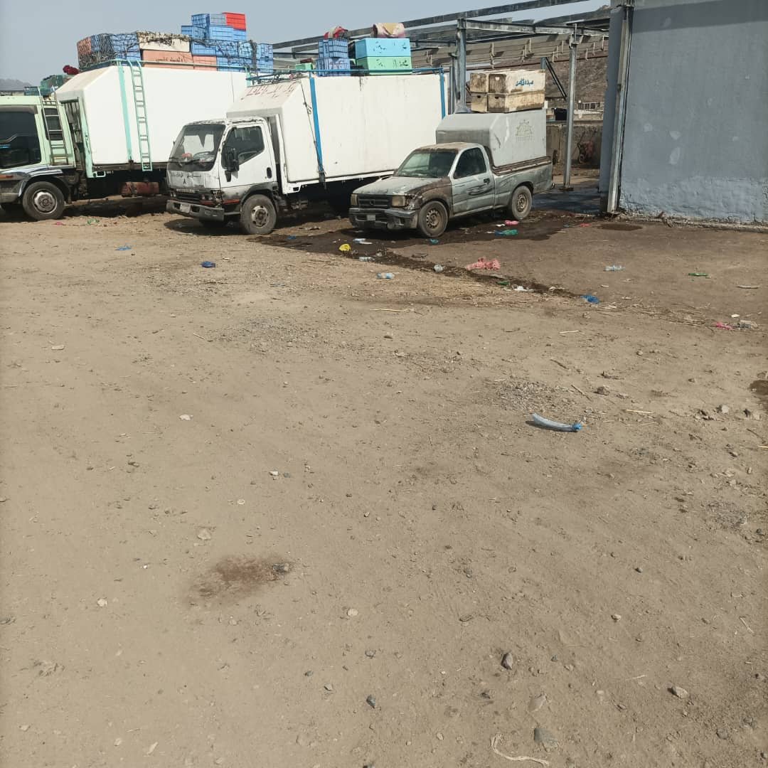 استياء واسع في تعز بعد نقل سوق الأسماك إلى موقع معزول يفتقر للخدمات