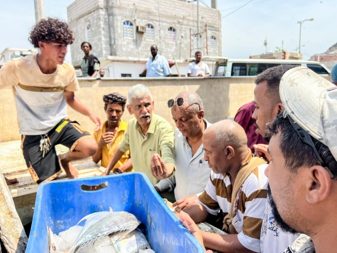 هيئة المصائد السمكية في صيرة تضبط كمية من الأسماك المتعفنة وتتلفها