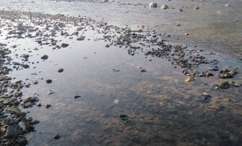 توقعات باستمرار هطول الأمطار على عدة محافظات وتحذيرات من مخاطر السيول والانهيارات توقعات باستمرار هطول الأمطار على عدة محافظات وتحذيرات من مخاطر السيول والانهيارات