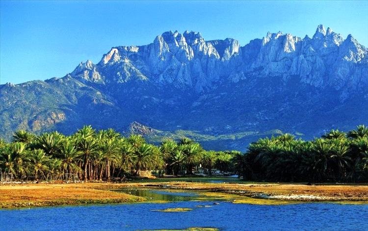 وصول يخت إلى سقطرى على متنه 200 سائح