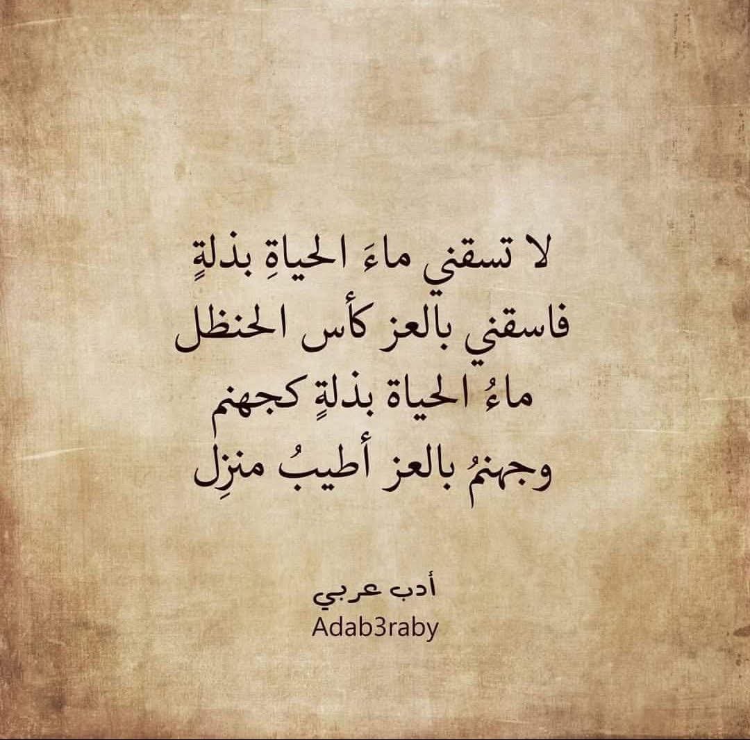 شظايا قلم.. الرخيص من هانت عليه كرامته شظايا قلم.. الرخيص من هانت عليه كرامته