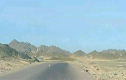 انسحاب أفراد أول نقطة تابعة لتمرد بن حبريش غرب المكلا بعد فرار قائدها