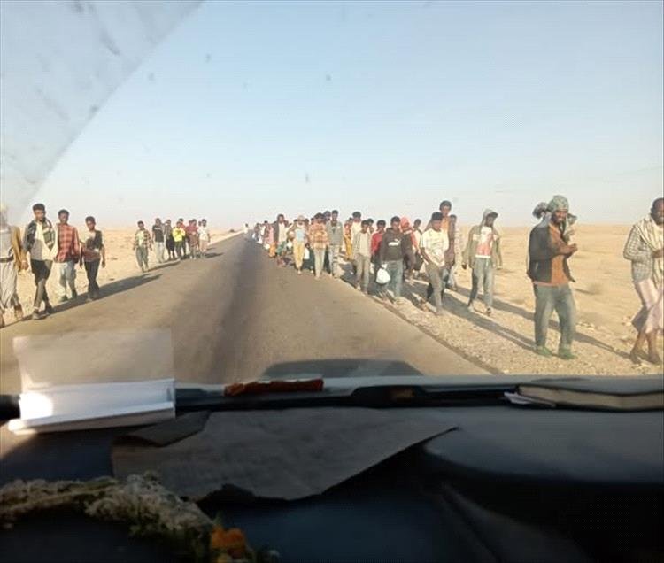 أعداد كبيرة من المهاجرين غير الشرعيين تصل إلى سواحل شبوة