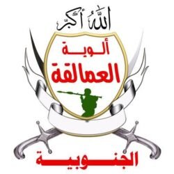 الشرعية اليمنية تهيىء الجنوبيين لتحرير أرضها وهذا خطأ استراتيجي قاتل يقع فيه الجنوبيون