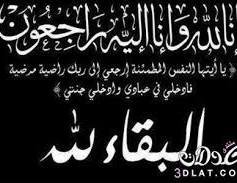 مستشار محافظة أبين يعزّي الشيخ جمال ناصر العاقل في وفاة شقيقته مستشار محافظة أبين يعزّي الشيخ جمال ناصر العاقل في وفاة شقيقته