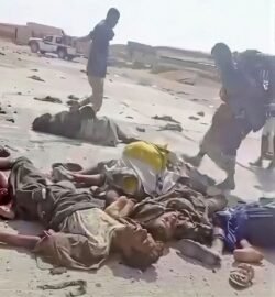 دماء العلم في أعناقنا جميعا.. وثأرنا بيد أبطال دفاع شبوة