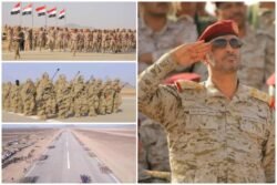 إذا لم تحرك الشرعية كل الجبهات بمنطق الهجوم وليس الدفاع مصيرها الفشل